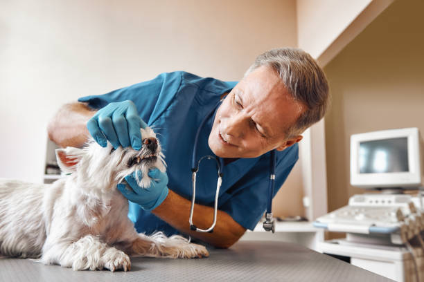 Best Cracked Tooth Emergency Dentist  in Allendale, NJ